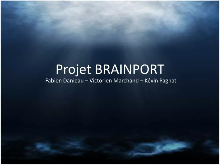 projet brainport
