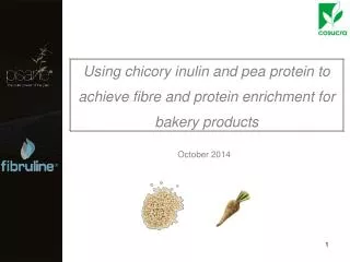 Using chicory inulin and pea protein to achieve fibre and protein enrichment for bakery products