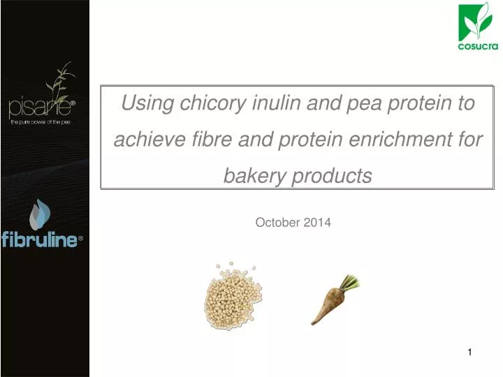 using chicory inulin and pea protein to achieve fibre and protein enrichment for bakery products