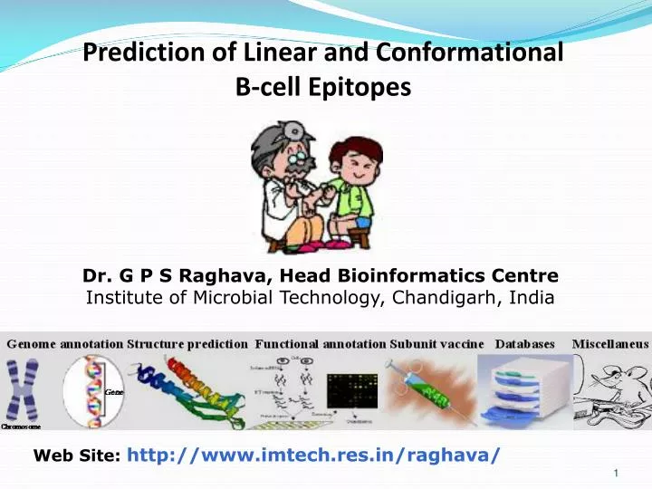 prediction of linear and conformational b cell epitopes