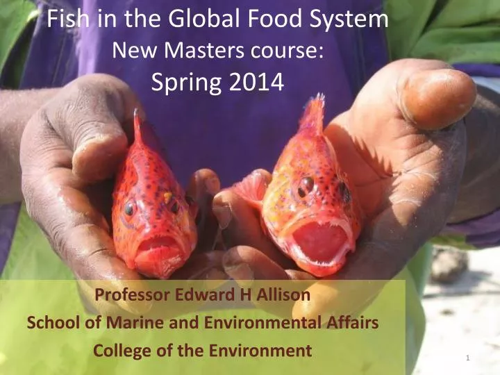 fish in the global food system new masters course spring 2014