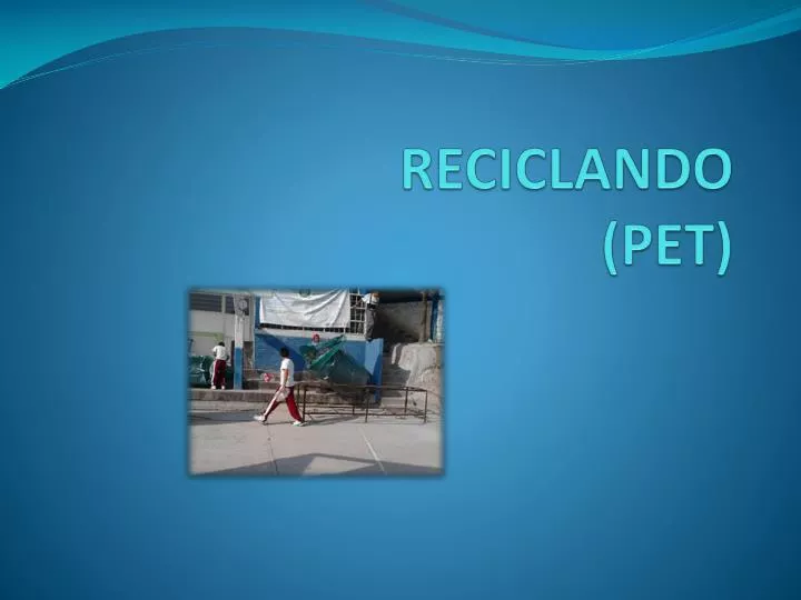 reciclando pet