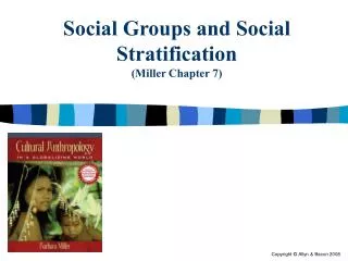 Social Groups and Social Stratification (Miller Chapter 7)