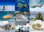 Interdependence - slide 1