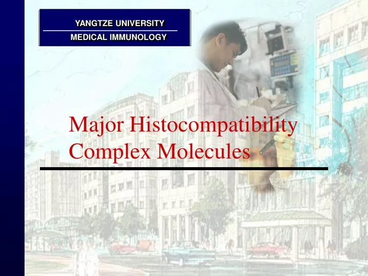 major histocompatibility complex molecules