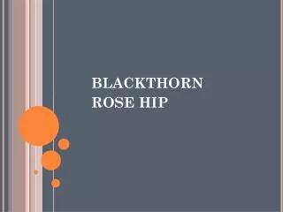 BLACKTHORN ROSE HIP