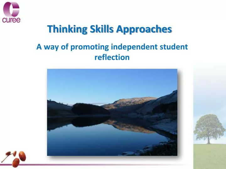 thinking skills approaches