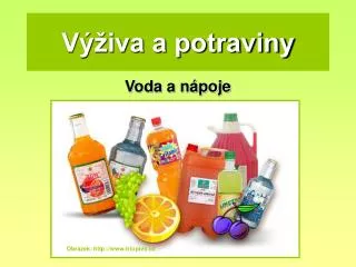 v iva a potraviny