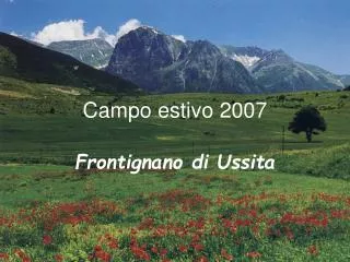 campo estivo 2007