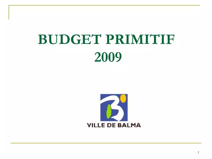 budget primitif 2009