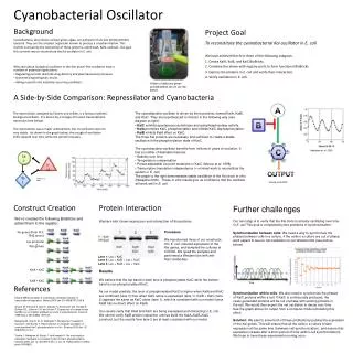 Cyanobacterial Oscillator