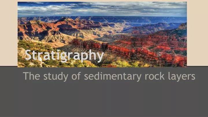 stratigraphy