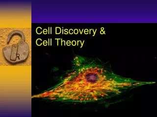Cell Discovery &amp; Cell Theory