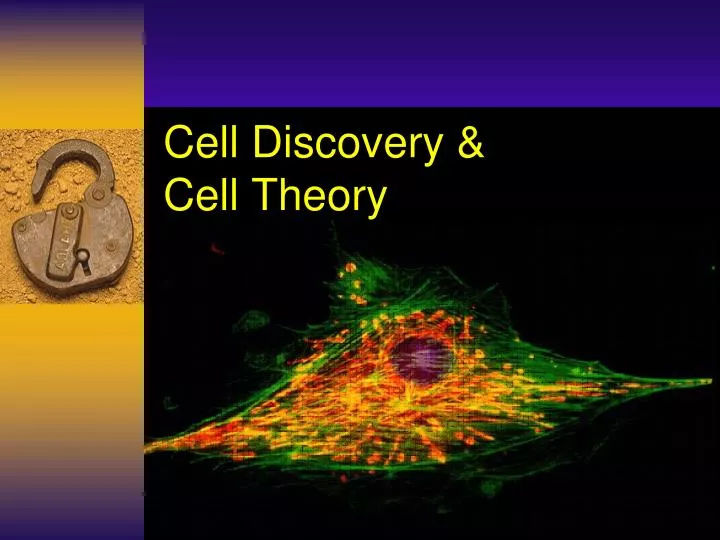 cell discovery cell theory