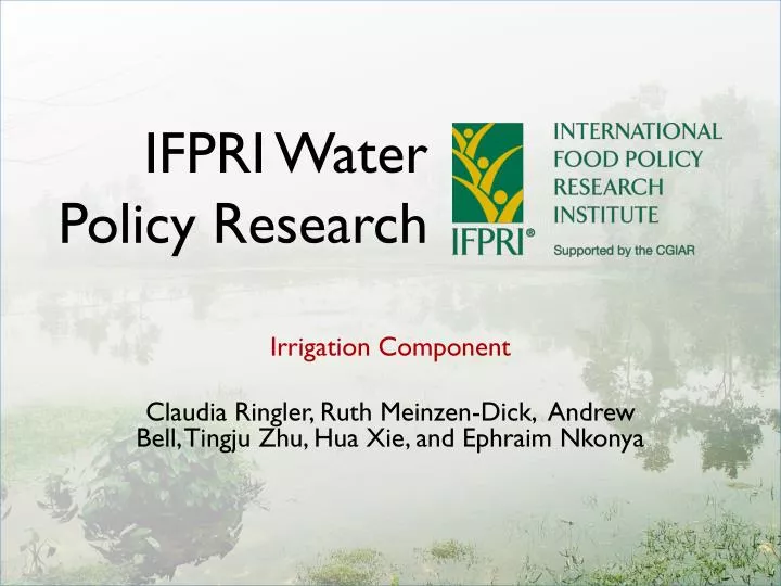 ifpri water policy research