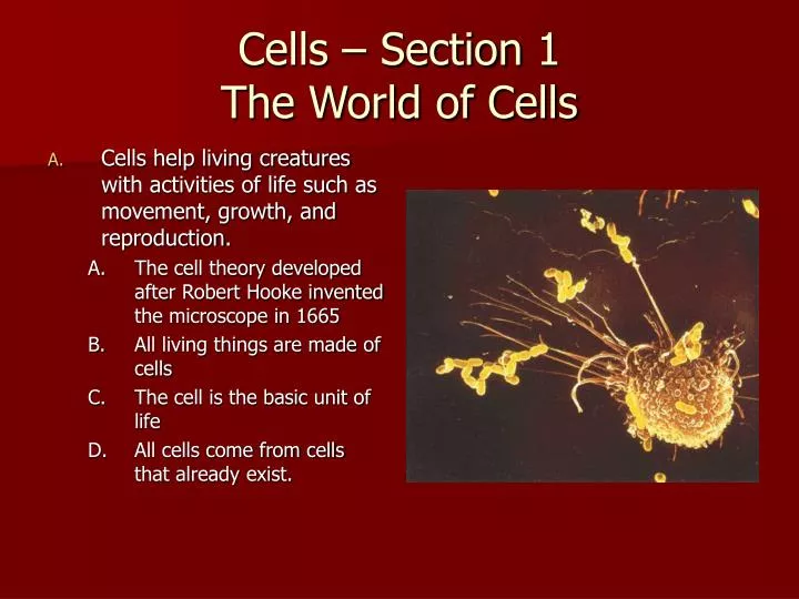 cells section 1 the world of cells