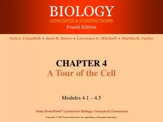 CHAPTER 4 A Tour of the Cell