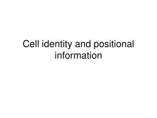 Cell identity and positional information