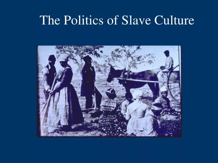 the politics of slave culture