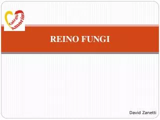 reino fungi