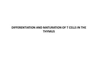 DIFFERENTIATION AND MATURATION OF T CELLS IN THE THYMUS