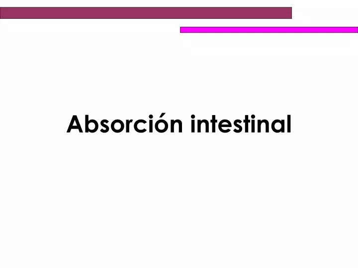 absorci n intestinal