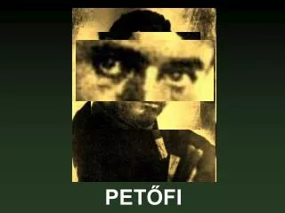 pet fi