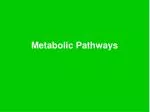 Metabolic Pathways - slide 1