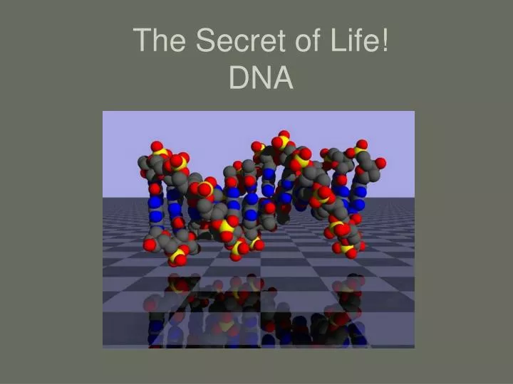 the secret of life dna