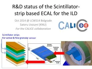 R&amp;D status of the Scintillator-strip based ECAL for the ILD