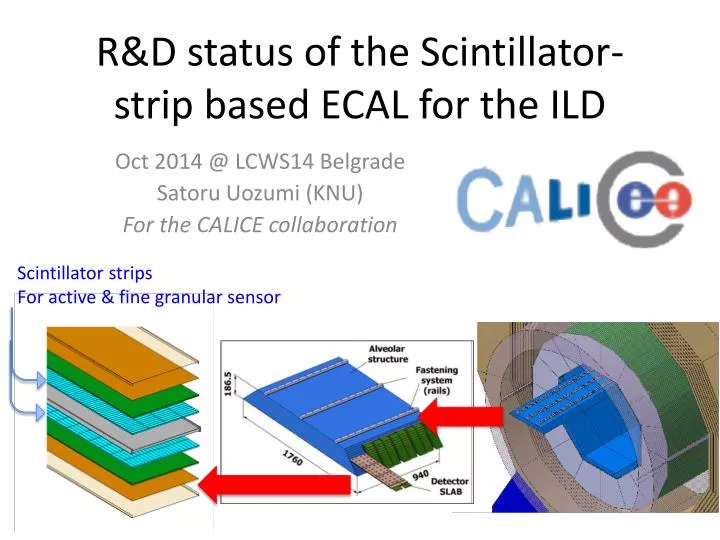 r d status of the scintillator strip based ecal for the ild