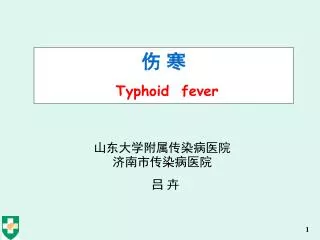 typhoid fever