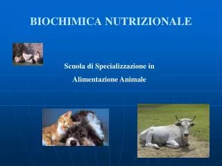 biochimica nutrizionale