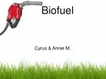 Biofuel - slide 1