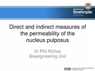 Direct and indirect measures of the permeability of the nucleus pulposus