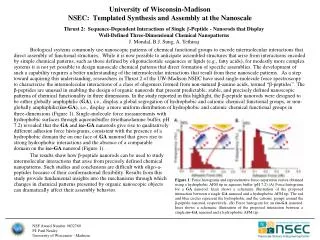 University of Wisconsin-Madison NSEC: Templated Synthesis and Assembly at the Nanoscale