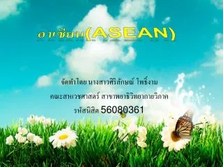 56080361