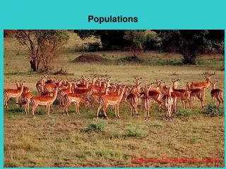 Populations