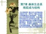 第 7 章 森林生态系统组成与结构 - slide 1
