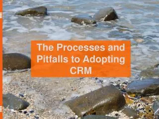The Processes and Pitfalls to Adopting CRM
