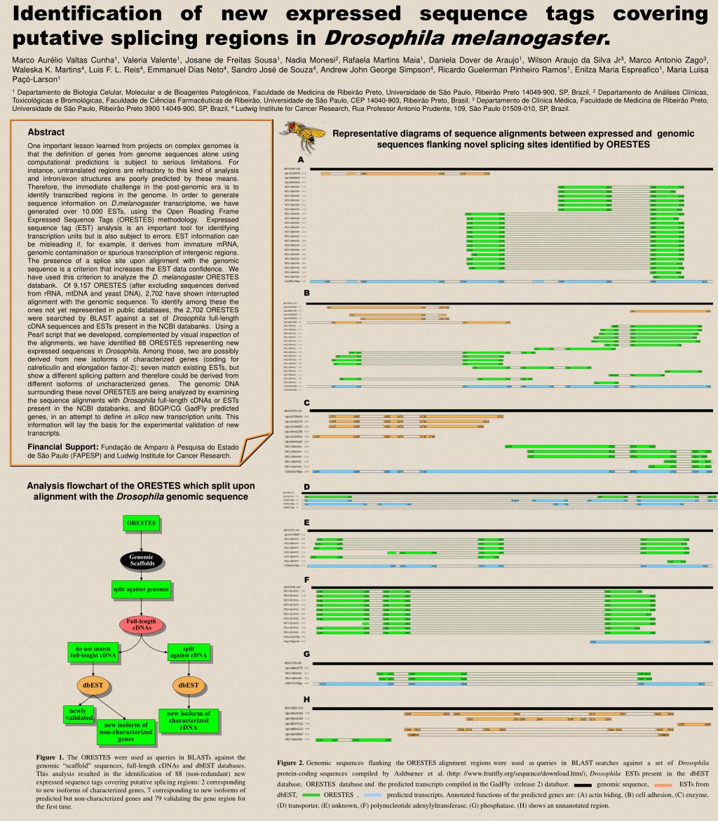 Identification of Novel Expressed Sequence Tags for Putative Splicing Regions in Drosophila melanogaster - slide 1