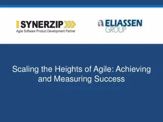 Scaling the Heights of Agile: Achieving and Measuring Success
