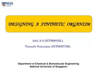 DESIGNING A SYNTHETIC ORGANISM