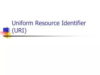 Uniform Resource Identifier (URI)