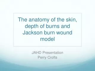 The anatomy of the skin, depth of burns and Jackson burn wound model
