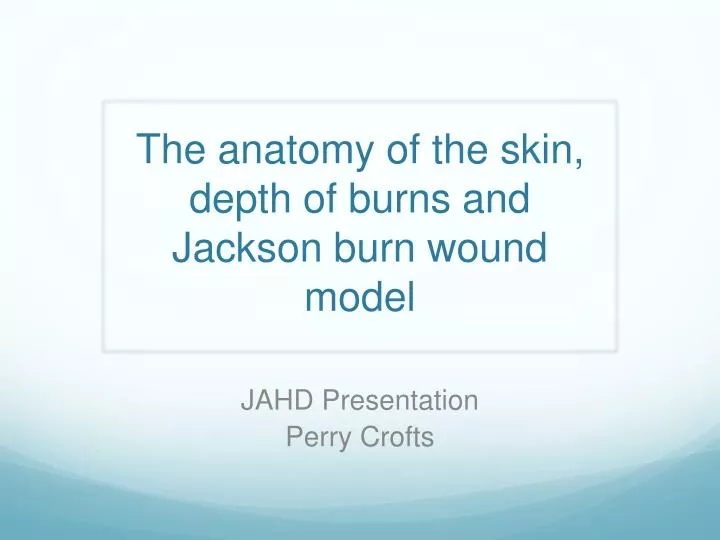 the anatomy of the skin depth of burns and jackson burn wound model