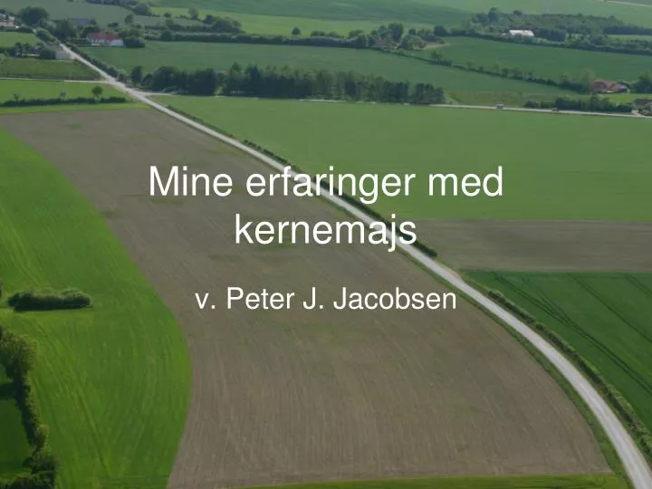 mine erfaringer med kernemajs