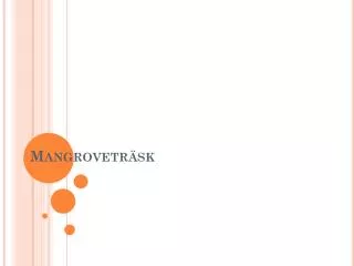 mangrovetr sk