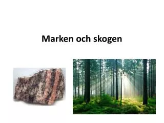 marken och skogen
