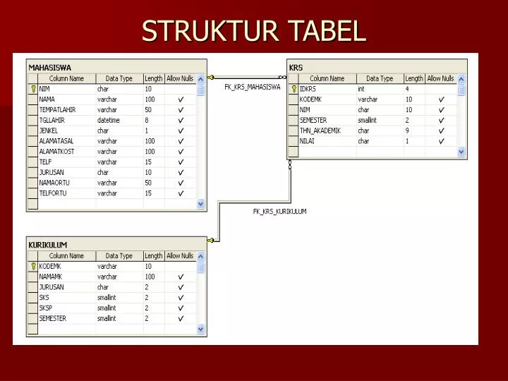 struktur tabel